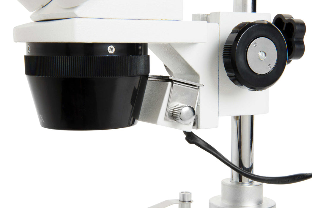 Celestron S10-60 - Stereo Microscope