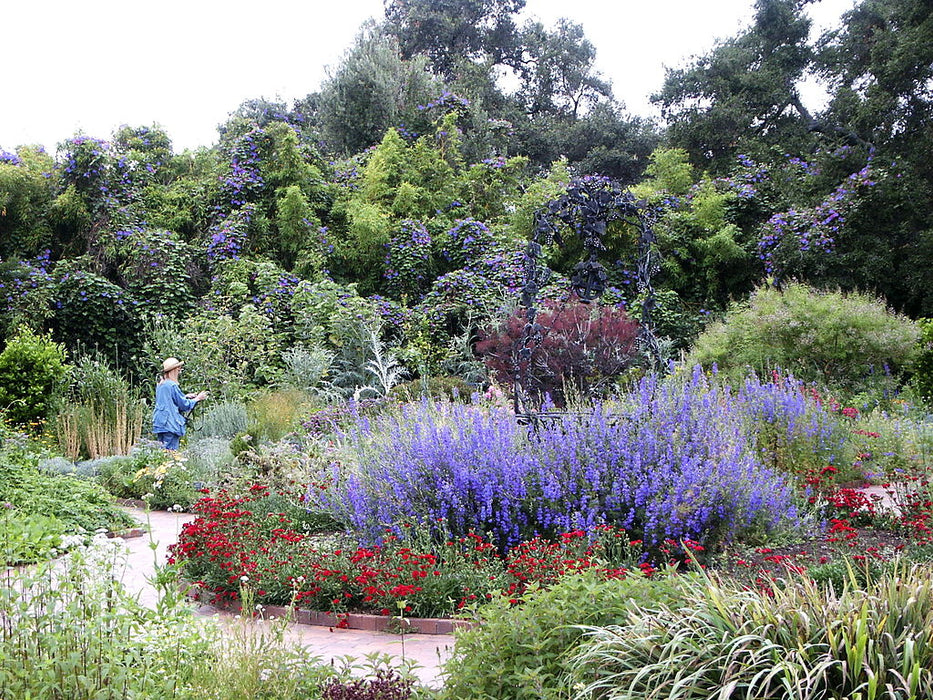 Group Tour Option for the 2022 Mount Wilson Observatory Star Party and The Huntington Library