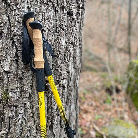 National Geographic Carbon Trekking Poles Set
