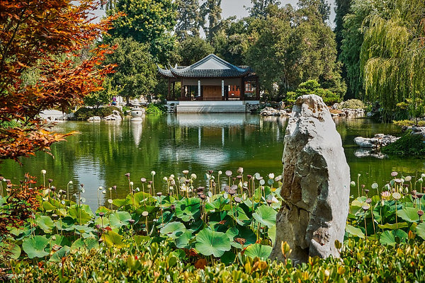 Group Tour Option for the 2022 Mount Wilson Observatory Star Party and The Huntington Library