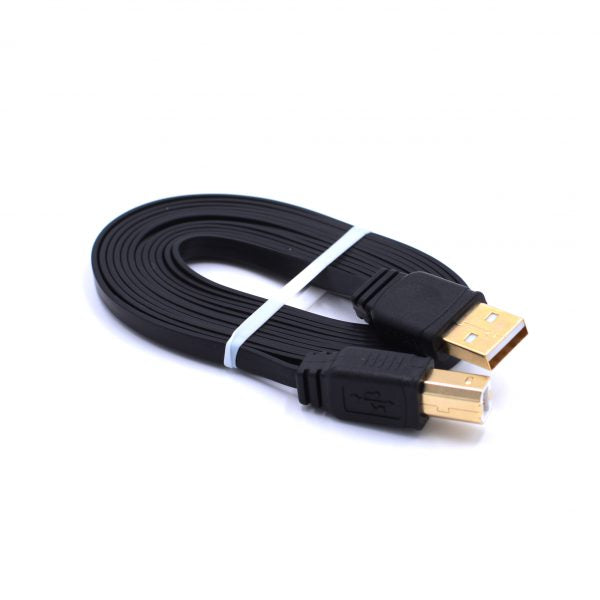 Player One Astronomy  USB2.0 cable(6ft)